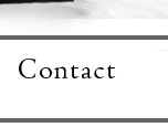 Contact Page button